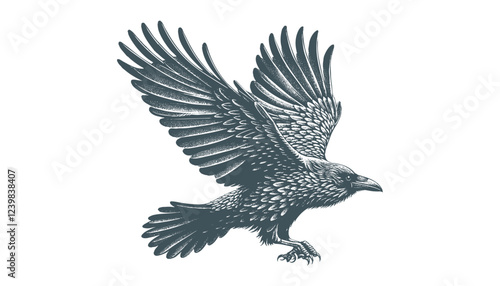 crow vector, raven vector