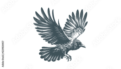 crow vector, raven vector