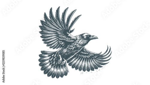 crow vector, raven vector