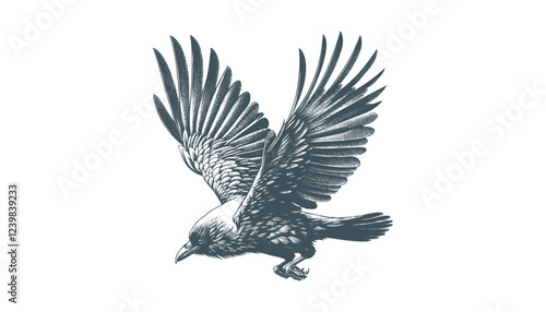 crow vector, raven vector