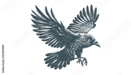 crow vector, raven vector