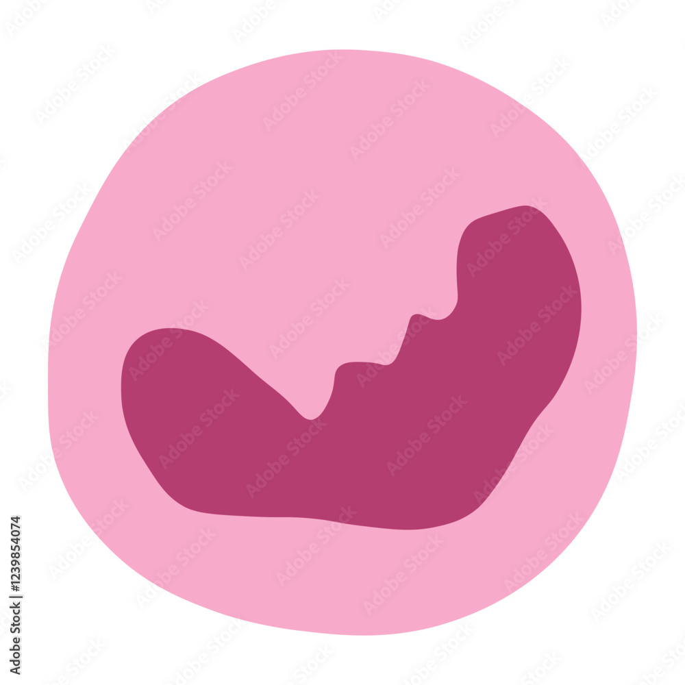 basophil basophil