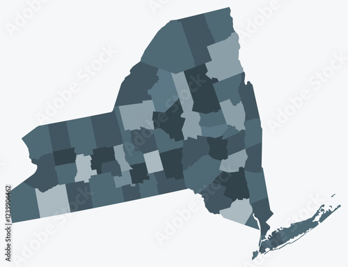 Map of New York with counties. Just a simple state border map with county division. Blue grey color palette. Plain State of New York shape with administrative division. Vector illustration.