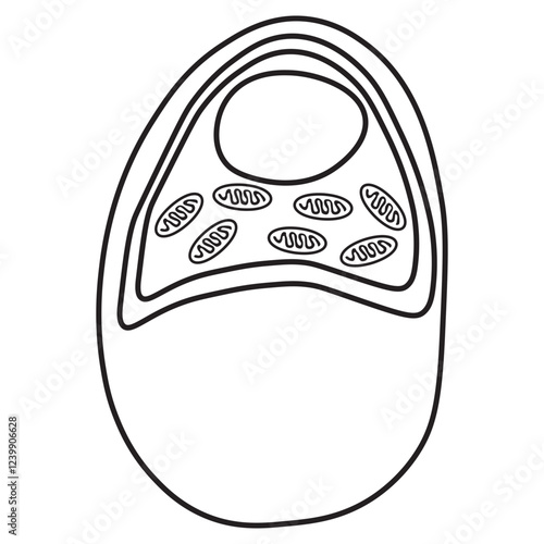 chondrocytes line icon