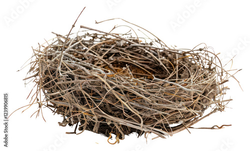 PNG Bird nest nature construction astronomy.