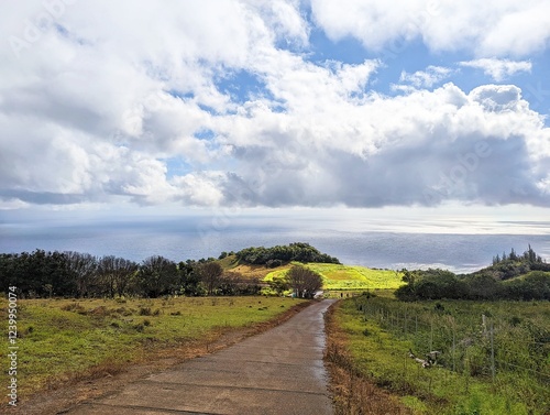 Waihee Ridge Trail, Maui, Hawaii, USA - view down the hill of a hiking trail and green farms in front of the ocean photo