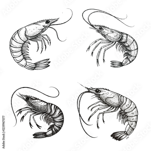 set of shrimps