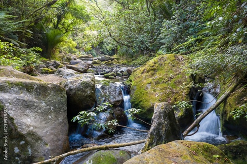 Tranquil mountain stream cascading over mossy rocks in lush forest. Nature's beauty. Wentworth Valley, Whangamata, Coromandel Peninsula, New Zealand photo