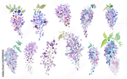 A vector illustration set of abstract wisteria flowers painted in watercolor with transparent background. Hand-drawn wisteria flower illustrations.