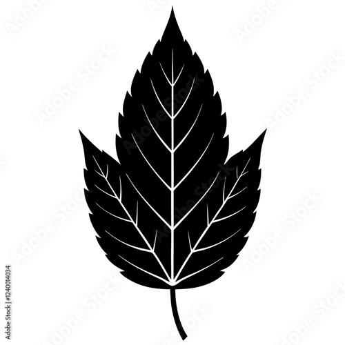 a beautiful leaf silhouette with white background