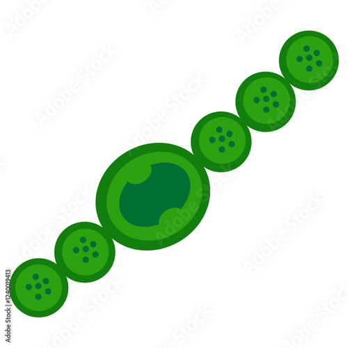 nostoc