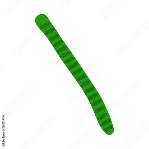 Oscillatoria