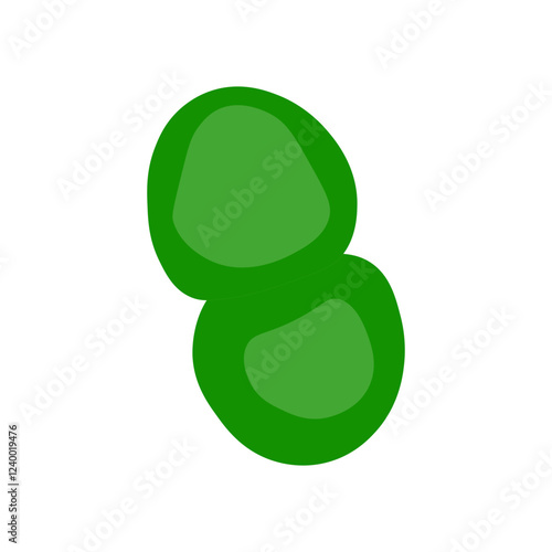 Synechococcus 