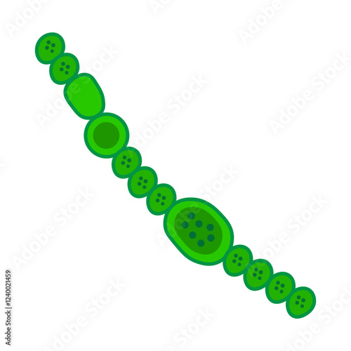 Anabaena