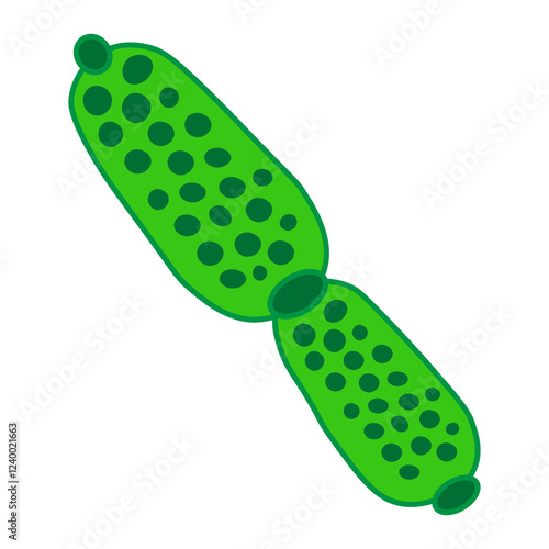 nostoc