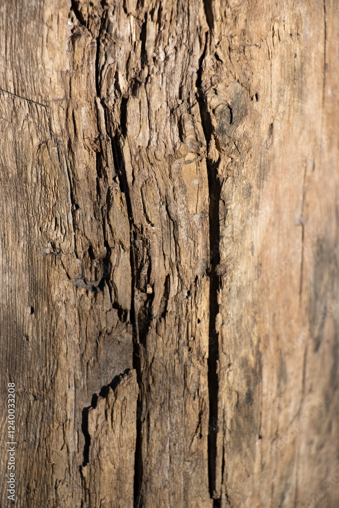 Old grunge brown dark textured wooden background , The surface of the old brown wood texture Old grunge brown dark textured wooden background , The surface of the old brown wood texture
