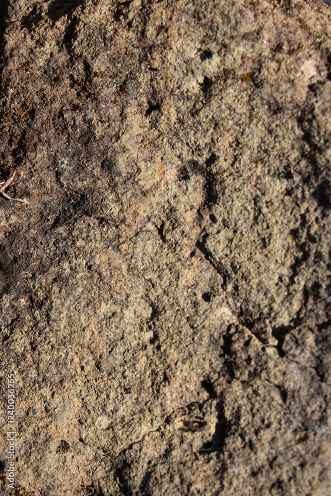 Rough gunge brown ground surface. Close up natural background Rough gunge brown ground surface. Close up natural background