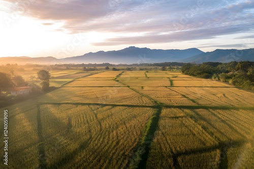Patterned Landscapes.Aerial View of a Lush Field.