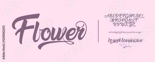 Curly font, simple font, abjad, abc, alphabet, introducing