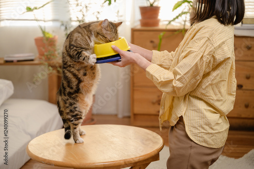 Young Asian woman cat owner giving food to her cute domestic cat at home. Adorable shorthair cat be feed by owner in living room. Human and pet relation domestic lifestyle concept. Focus on cat.