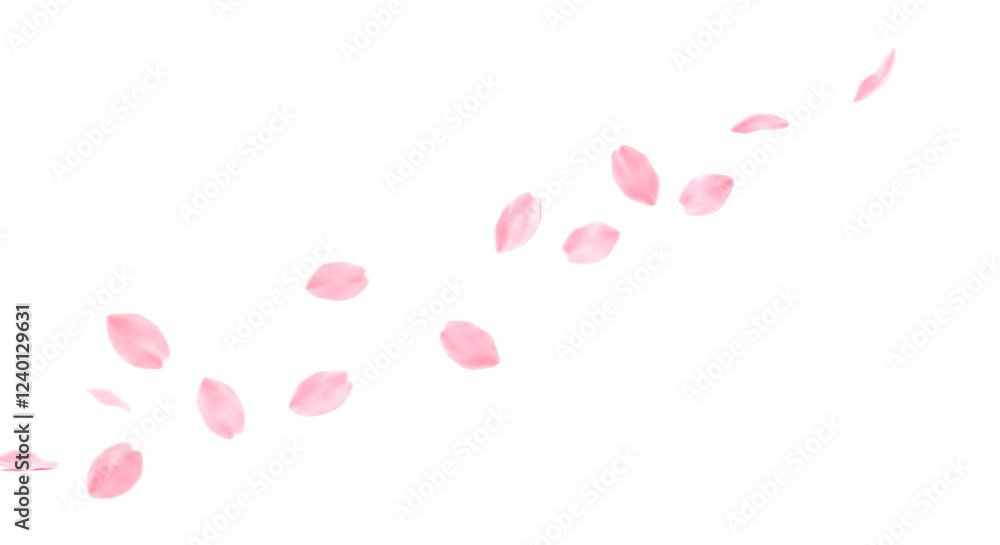 桜の花びら、透明背景 桜の花びら、透明背景