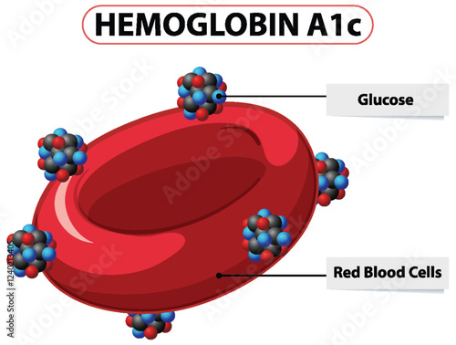 Hemoglobin A1c and Blood Glucose Illustration