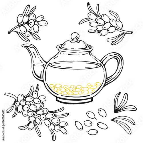 Teapot, sea buckthorn tea. Hand drawn vector illustration
