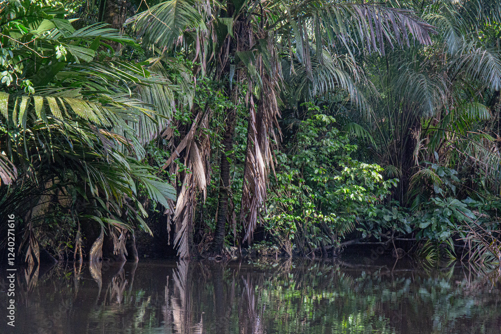 Obraz premium tree in the water