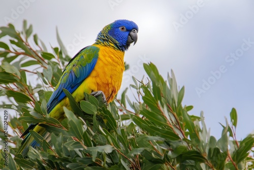 Colorful parrot perched among lush green leaves in a natural setting