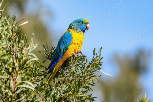 Colorful parrot perched among lush green leaves in a natural setting