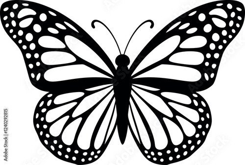 butterfly silhoutte vector illustration