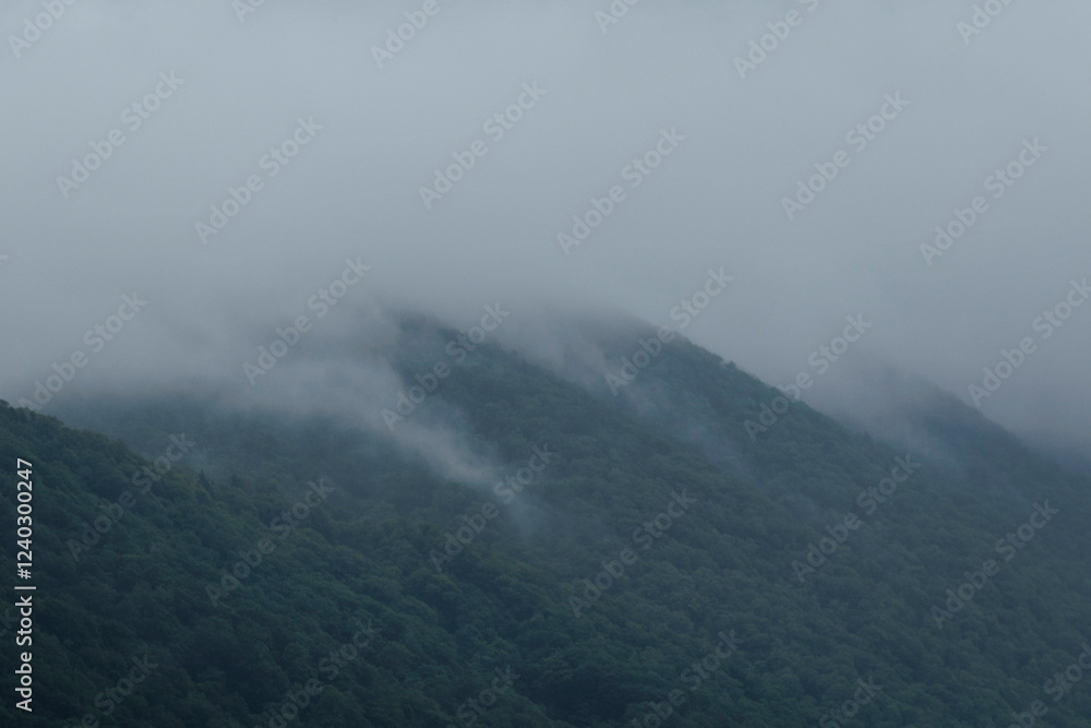 Fototapeta premium fog on the mountain