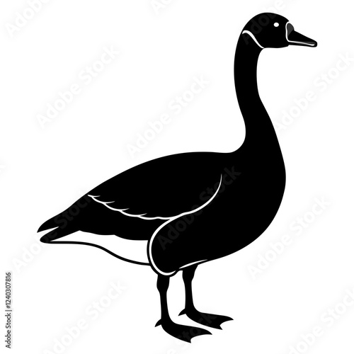 Goose isolated on white background