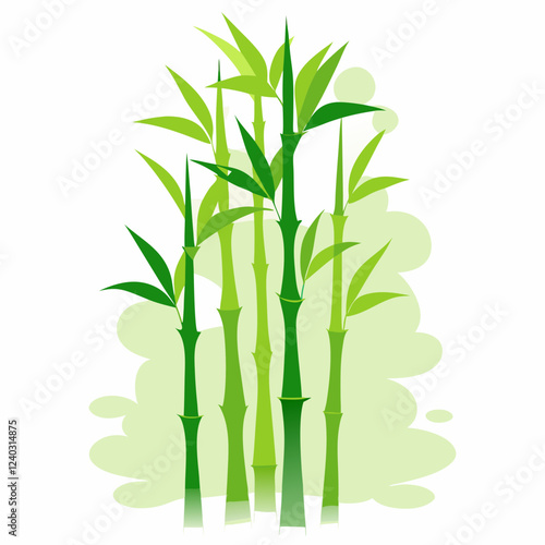 Bamboo isolated on white background