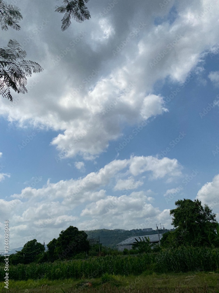 Obraz premium Lush green fields and tree-lined landscapes beneath a picturesque sky with clouds and sunlight. A peaceful and tranquil countryside scene perfect for showcasing rural beauty and natural serenity.