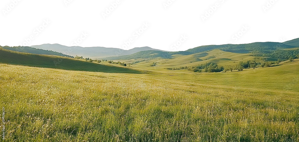Fototapeta premium Scenic countryside landscape with grassy fields and distant hills, isolated on transparent cutout background