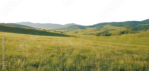 Scenic countryside landscape with grassy fields and distant hills, isolated on transparent cutout background