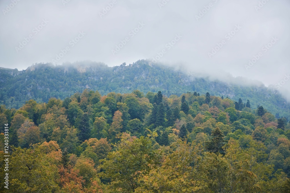 A mountain range with trees in the foreground and a cloudy sky in the background. The trees are tall and sprawling, giving the impression of a vast open landscape A mountain range with trees in the foreground and a cloudy sky in the background. The trees are tall and sprawling, giving the impression of a vast open landscape