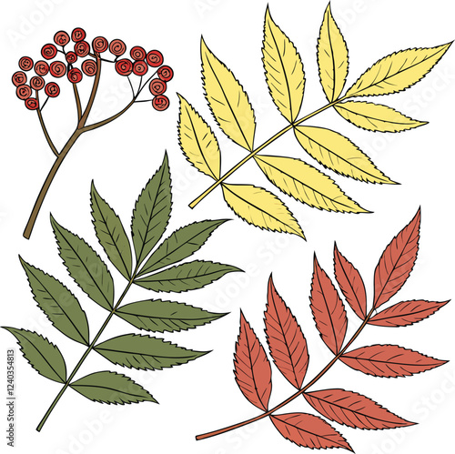 set of leaves