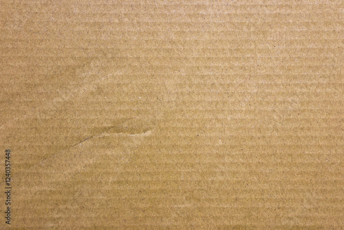 Wall Mural Brown cardboard sheet abstract background, texture of recycle paper box in old vintage pattern for design art work