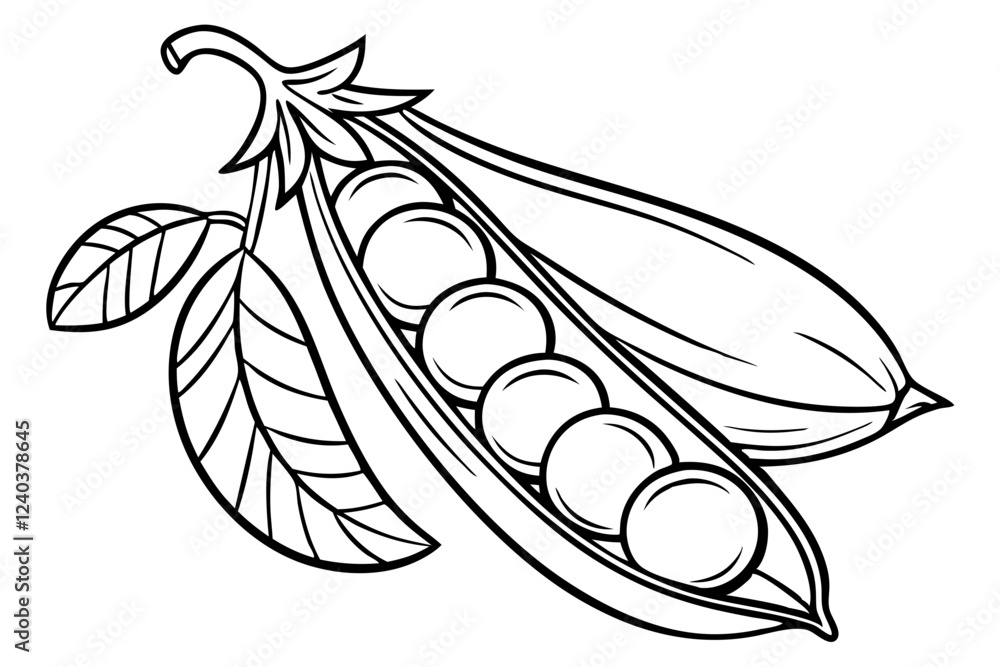 Peas in Pod Vegetable Vector Line Art Illustration
Peas in Pod Vegetable Vector Line Art Illustration