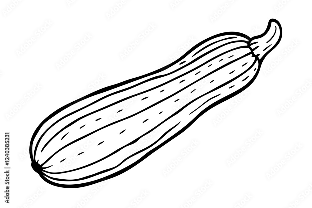 Line Art Of Zucchini Vector Illustration Line Art Of Zucchini Vector Illustration