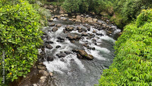 Crystal-clear river flowing through a tropical forest in Indonesia, captured on February 4, 2025. The pristine water and lush greenery create a serene natural scene