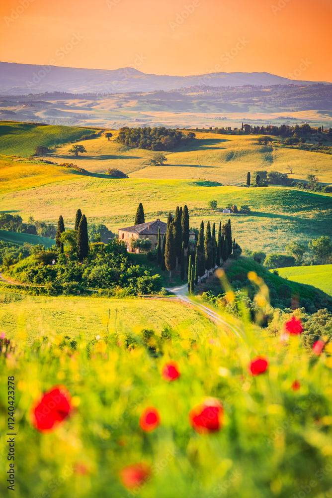 Val d'Orcia, Tuscany. Podere in San Quirico d'Orcia, beautiful spring tuscan landscape in Italy.