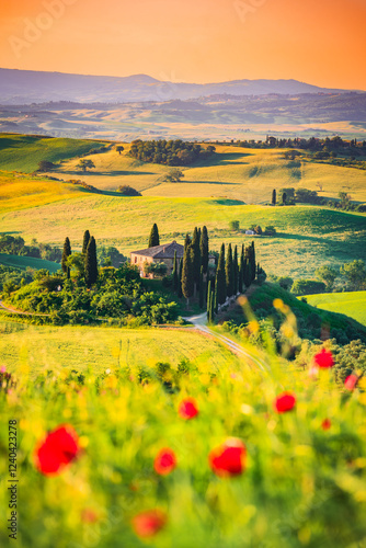 Obraz na płótnie Val d'Orcia, Tuscany. Podere in San Quirico d'Orcia, beautiful spring tuscan landscape in Italy. w salonie