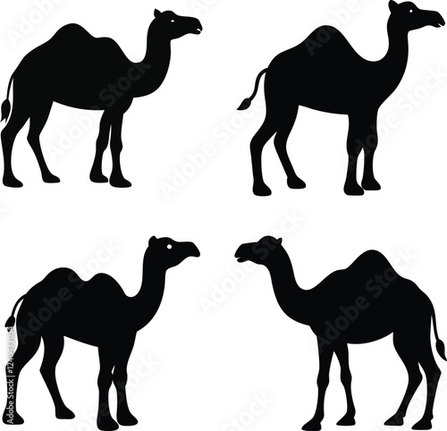 camel vector design 