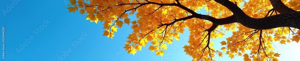 Golden tree branches stretch towards clear blue sky, tree trunk, nature Golden tree branches stretch towards clear blue sky, tree trunk, nature