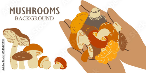 Vector background hand holding edible mushrooms. The concept of collecting and growing mushrooms.