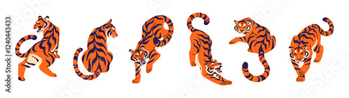 Set of Bengal or Amur tiger in different poses. Striped big cat of jungle, wild animal of rainforest. Tigris is angry, stretches, roars, bares teeth. Flat isolated vector illustrations on white