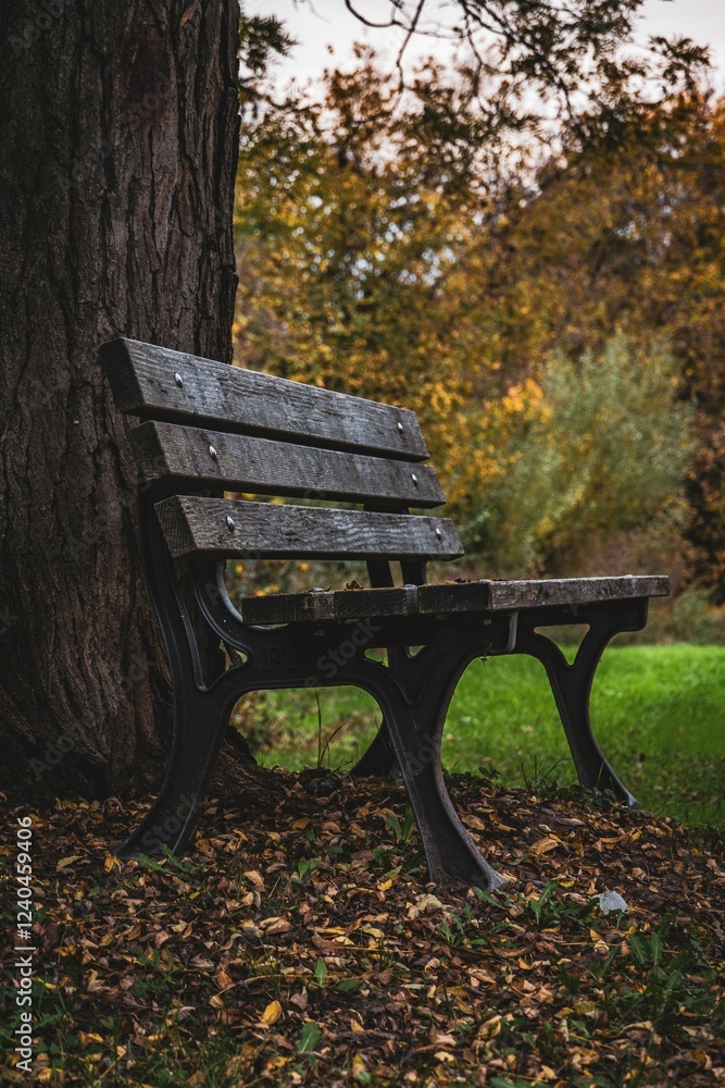 Wooden bench in autumn forest Wooden bench in autumn forest